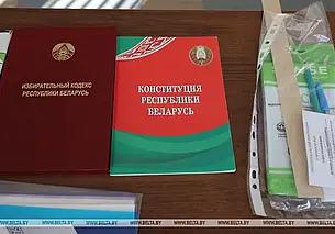 В Беларуси проходит референдум по внесению изменений и дополнений в Конституцию