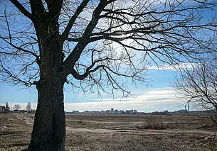 Облачно с прояснениями, без дождей: какой будет погода в Могилеве в пятницу, 28 ноября