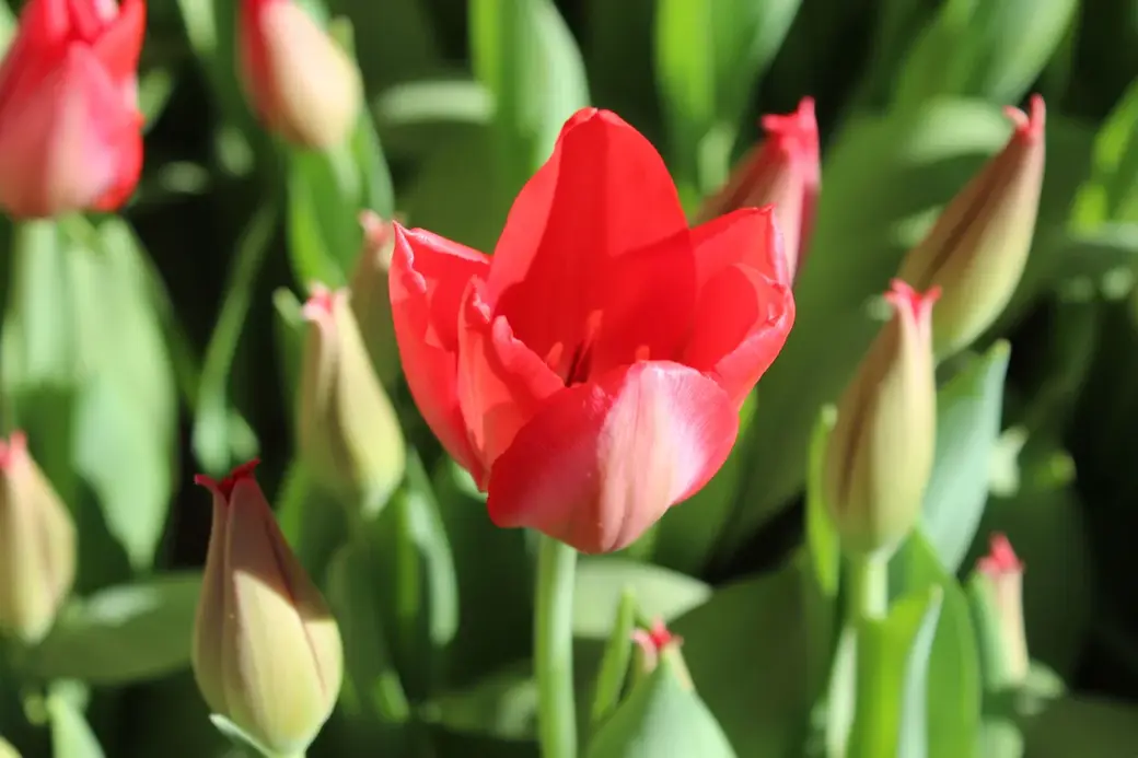 01.01.2022 г. Круглянский район.