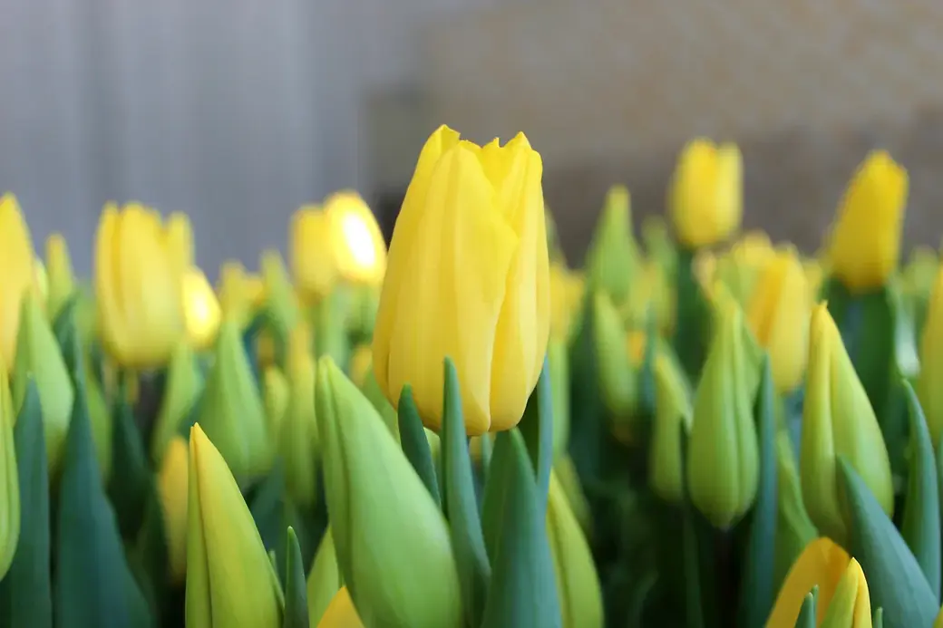 01.01.2022 г. Круглянский район. Первые шаги в создании «маленькой Голландии» под Круглом.