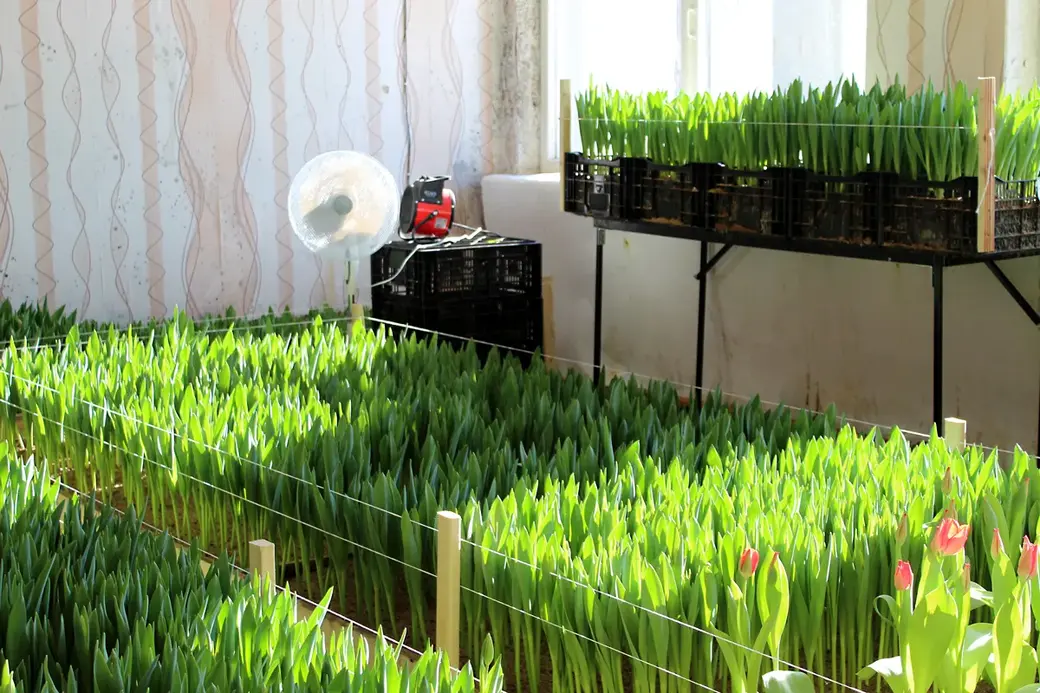 01.01.2022 г. Круглянский район.