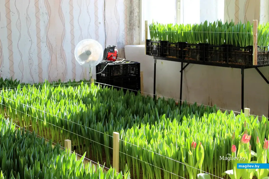 01.01.2022 г. Круглянский район.