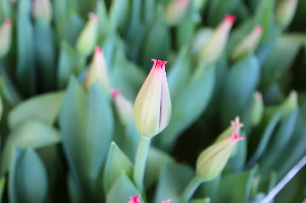 01.01.2022 г. Круглянский район.