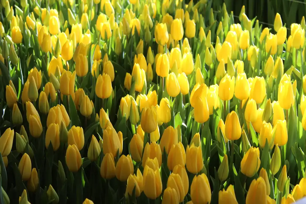 01.01.2022 г. Круглянский район.