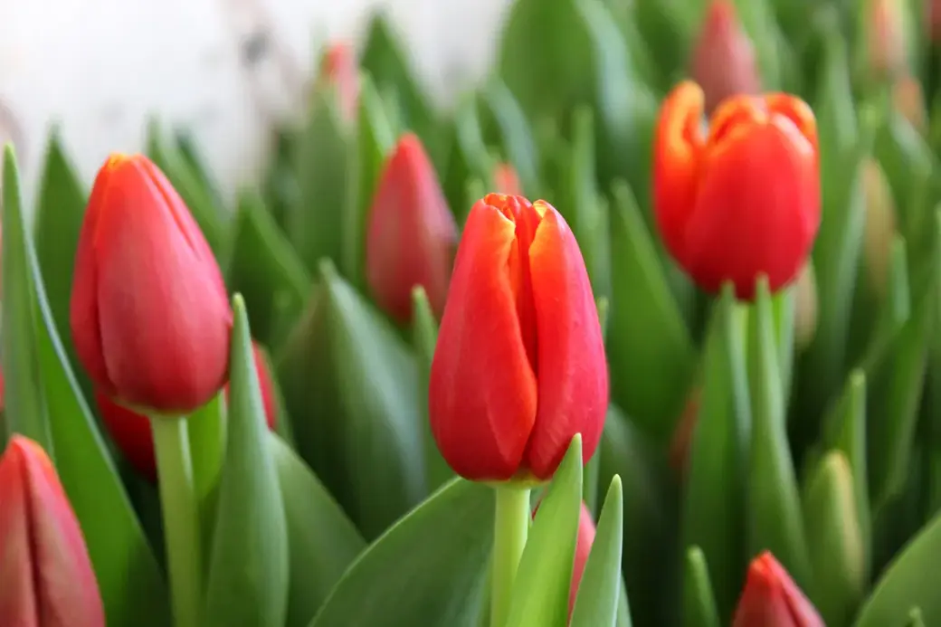 01.01.2022 г. Круглянский район.