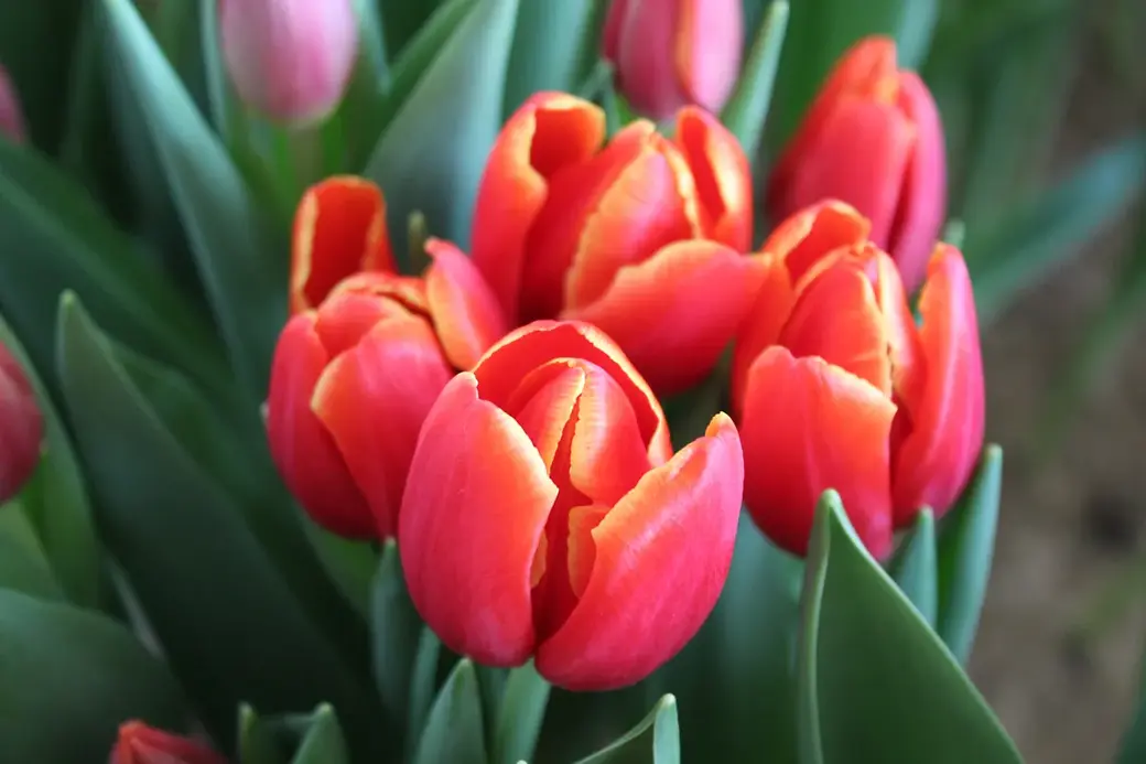 01.01.2022 г. Круглянский район.