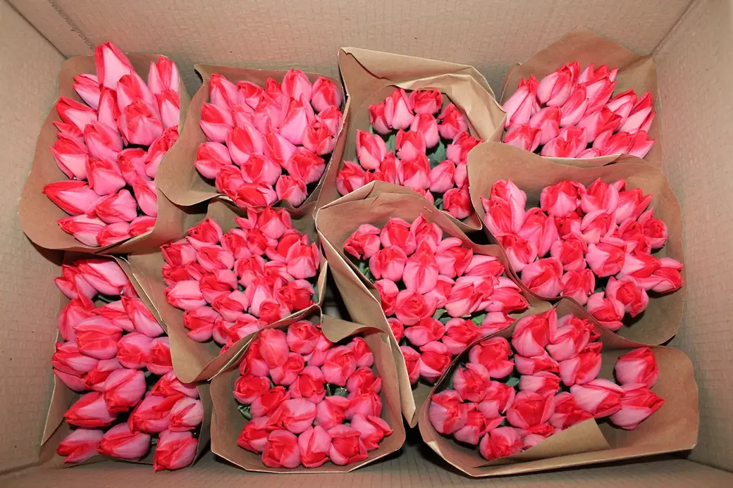 01.01.2022 г. Круглянский район. К транспортировке готовы.