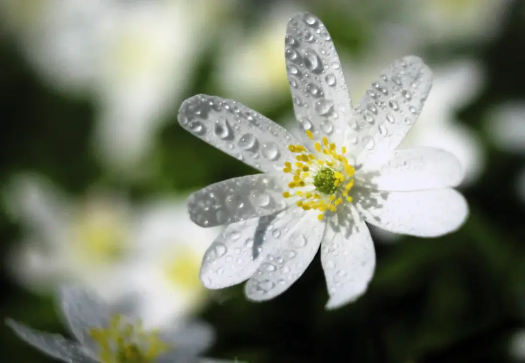 3.03.2022 год. Могилевский областной краеведческий музей. Выставка работ Юрия Кашлевского.