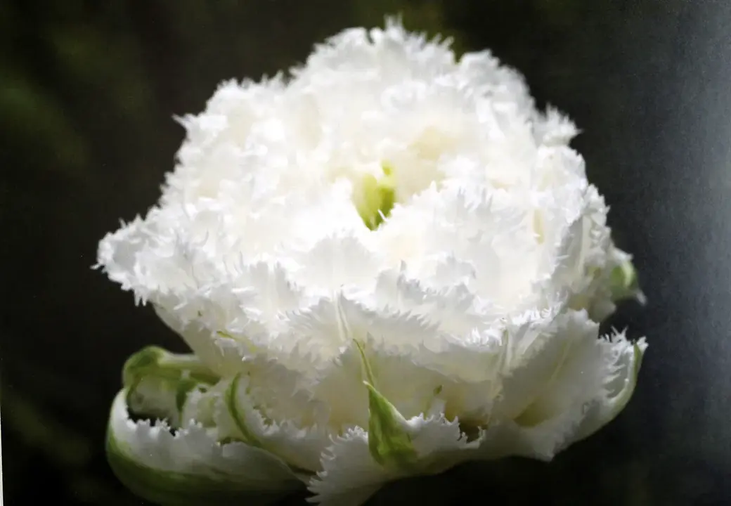 3.03.2022 год. Могилевский областной краеведческий музей. Выставка работ Юрия Кашлевского.