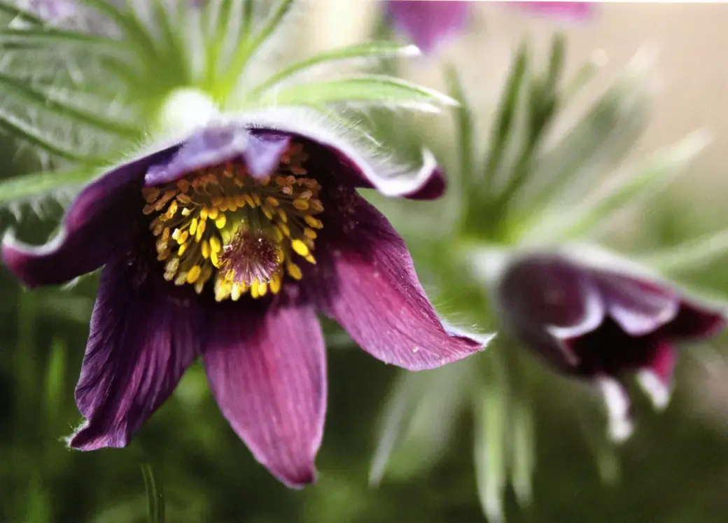 3.03.2022 год. Могилевский областной краеведческий музей. Выставка работ Юрия Кашлевского.