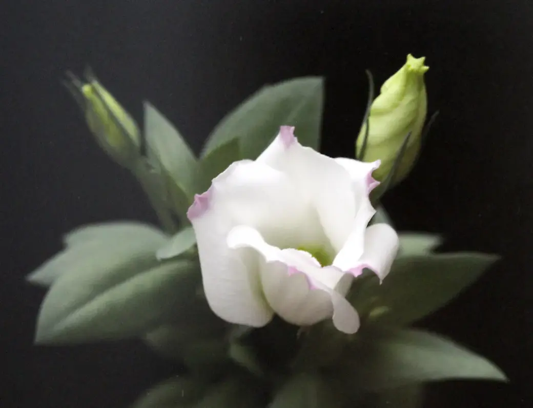 3.03.2022 год. Могилевский областной краеведческий музей. Выставка работ Юрия Кашлевского.