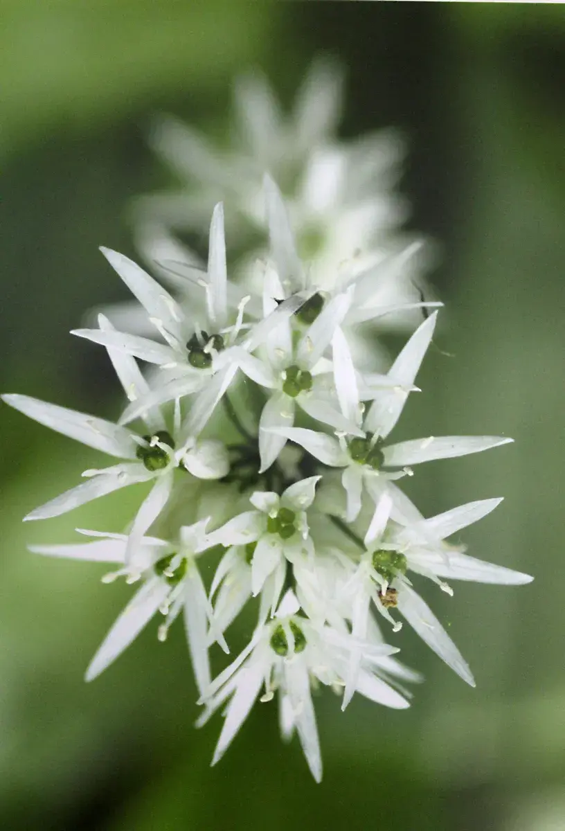 3.03.2022 год. Могилевский областной краеведческий музей. Выставка работ Юрия Кашлевского.