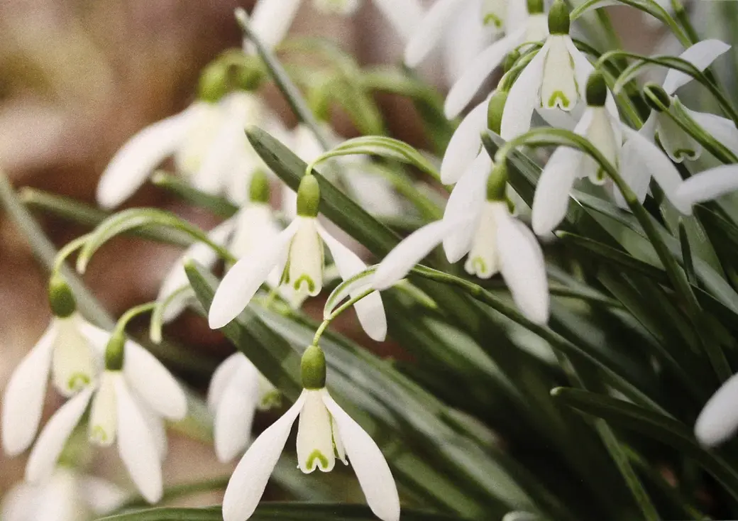 3.03.2022 год. Могилевский областной краеведческий музей. Выставка работ Юрия Кашлевского.