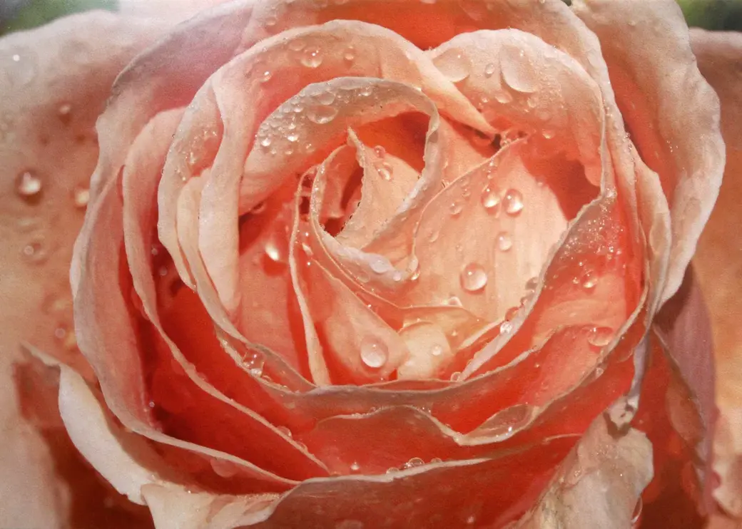 3.03.2022 год. Могилевский областной краеведческий музей. Выставка работ Юрия Кашлевского.