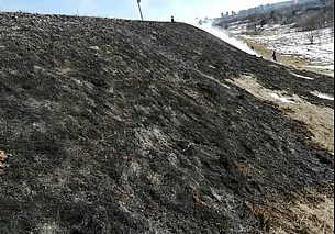 Палы травы начались в Могилевской области: за выходные ликвидированы два таких пожара