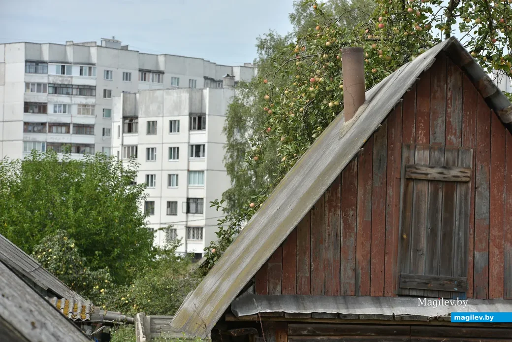 Фото: Александр Чугуев