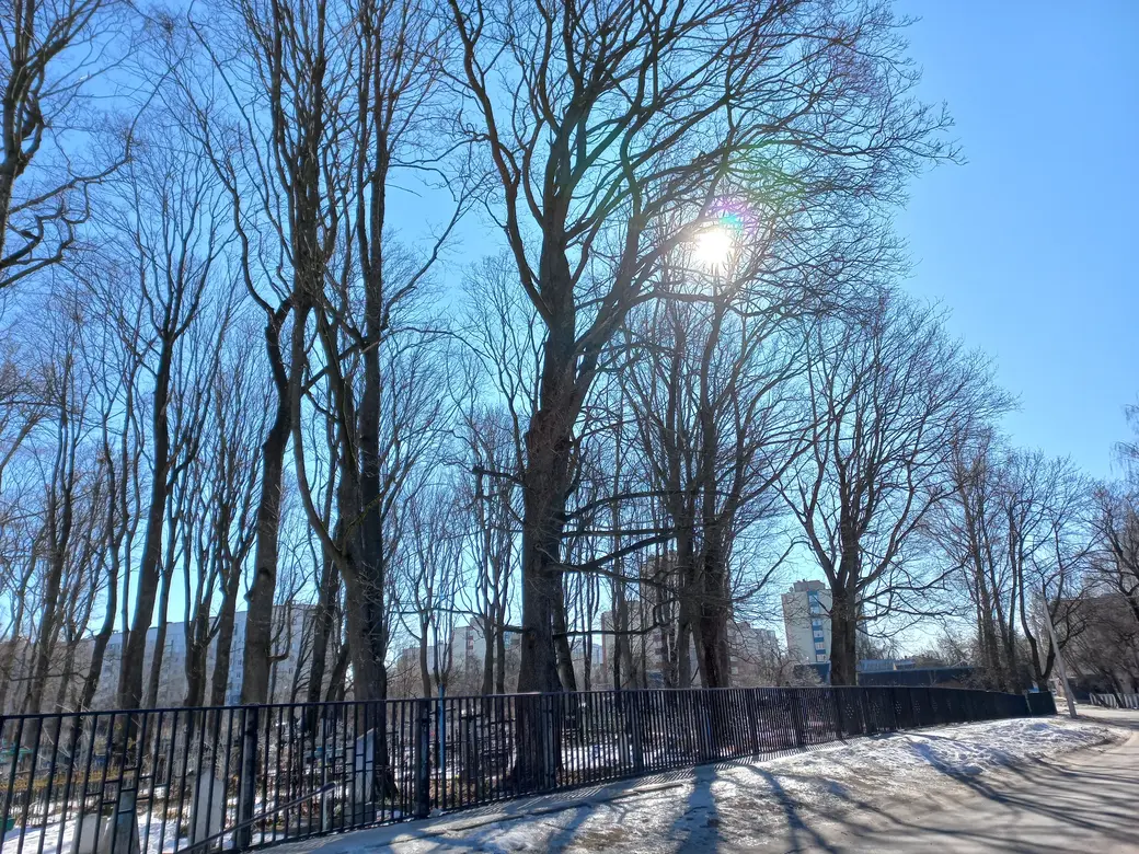 10.02.2022 г. Могилев, микрорайон «Мир-1». До новых встреч!