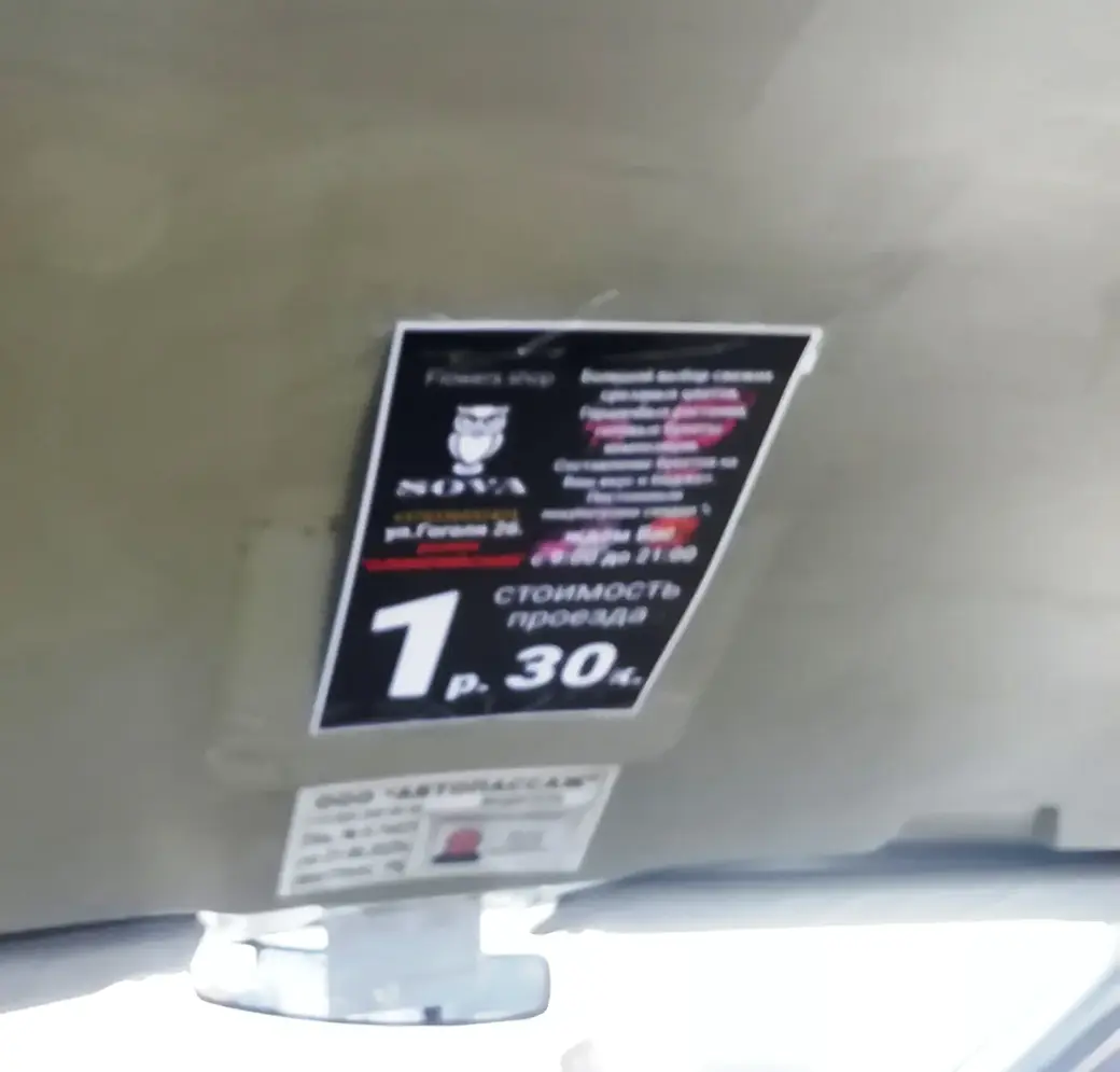 12 марта 2022 г. Могилев