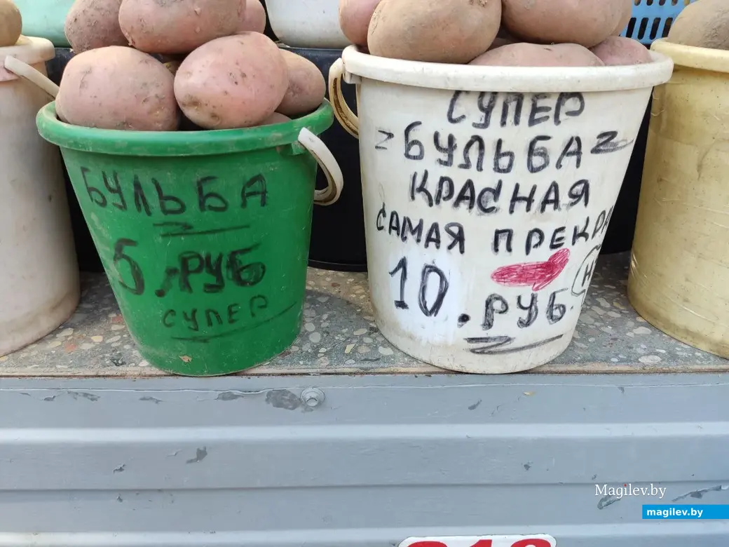 Центральный рынок, Могилёв, 12.08.2022 г. Бульба красная и просто бульба