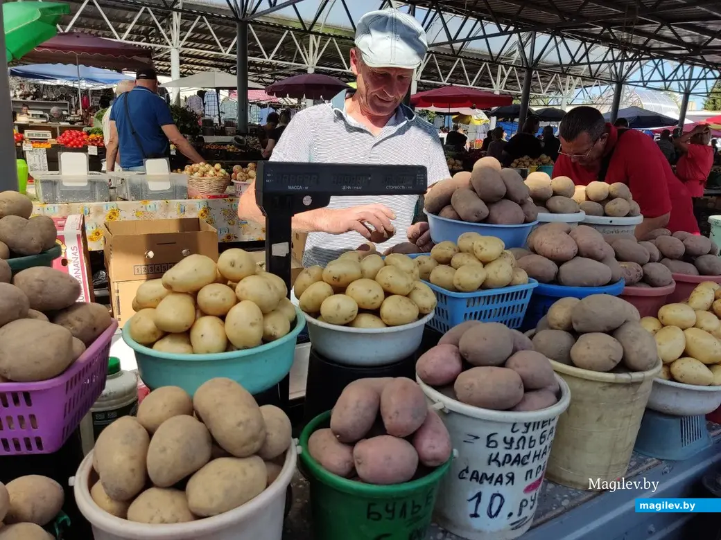 Центральный рынок, Могилёв, 12.08.2022 г. Бульба действительно хорошая. Рекомендуем от всего сердца