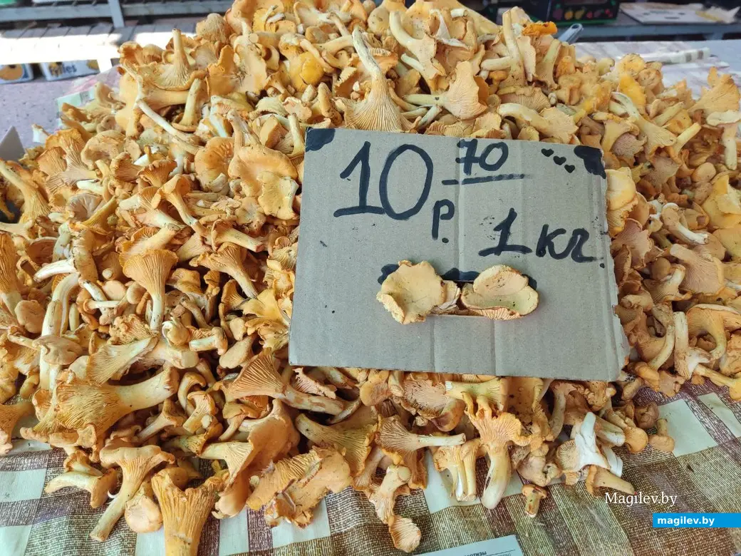 Центральный рынок, Могилёв, 12.08.2022 г. Лисички-сестрички. Для супа - отличный вариант