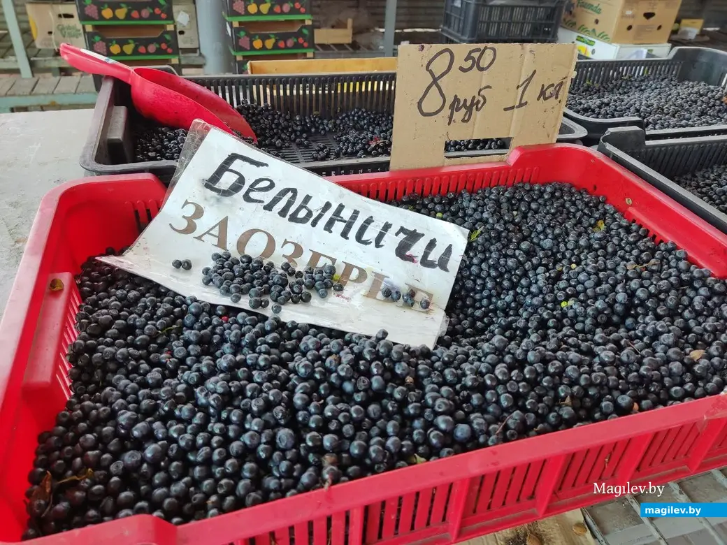 Центральный рынок, Могилёв, 12.08.2022 г. Белыничская ягода. Хороша и для компота и для варенья