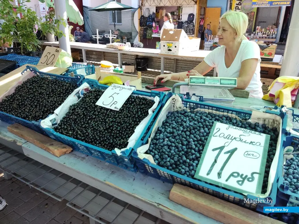 Центральный рынок, Могилёв, 12.08.2022 г. Поразительно крупная голубика в этом году