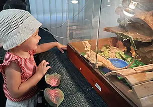 Куда сходить в Могилеве в ближайшие выходные: наш гид