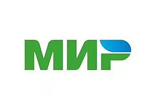 Белорусские онлайн-сервисы стали принимать карты «Мир»