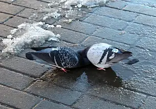 Сегодня – день весеннего равноденствия. Что это значит?