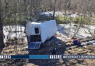 В автоаварии у деревни Борки пострадали 3 человека