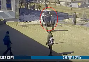 Выпивший могилевчанин гонялся за ученицей на школьном дворе