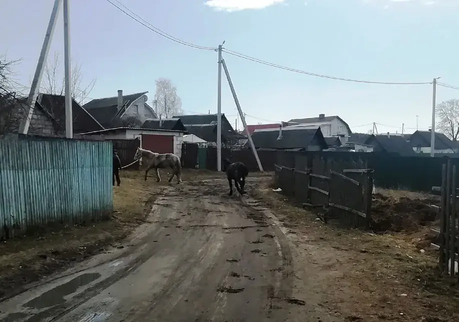 Могилев. Гребенево. Состояние дорог. 25.03.2022