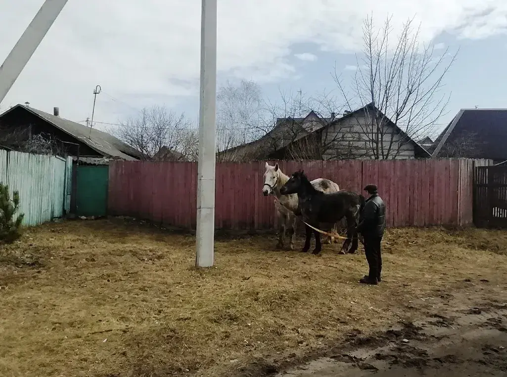Могилев. Гребенево. Состояние дорог. 25.03.2022