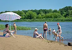 Врач рассказала, можно ли купаться в водоеме с водой зеленого цвета