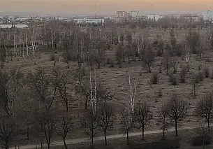 В парке возле Святого озера в Могилеве появилось кладбище для животных