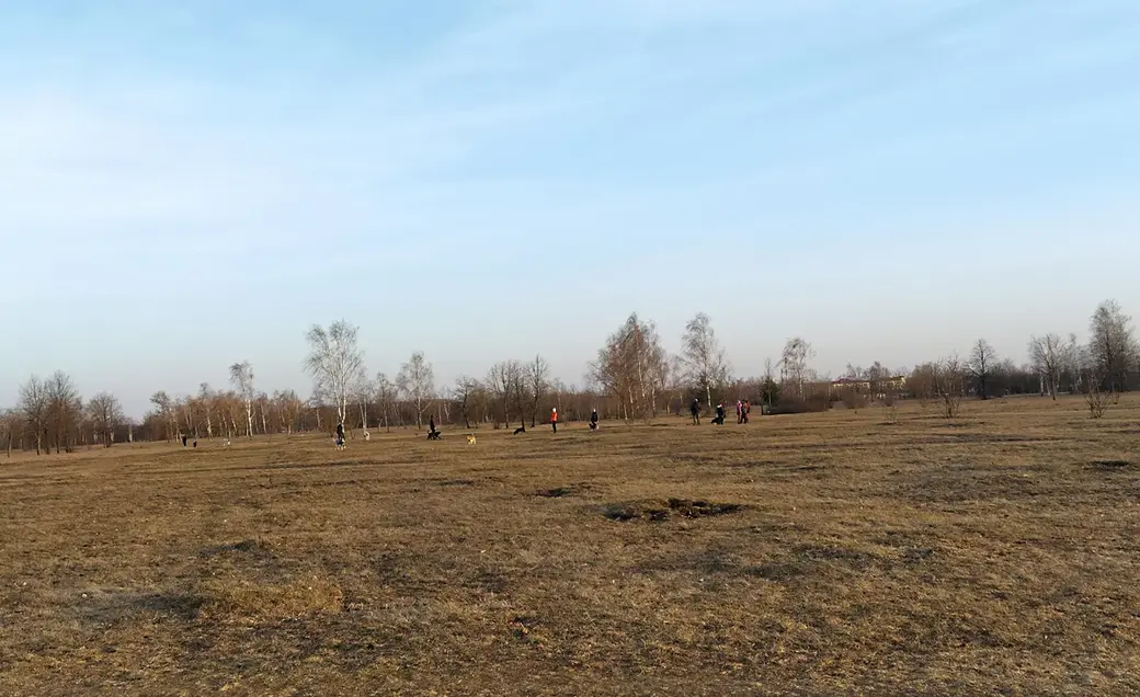 28.03.2022 год. Могилев. Парк имени 60-летия Великого Октября. Здесь выгуливают собак.