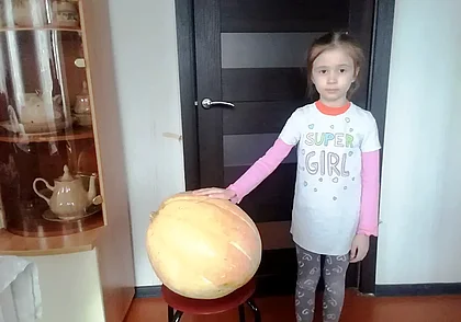 Без парника дача не та. Сколько стоит теплица и когда в нее высаживать рассаду