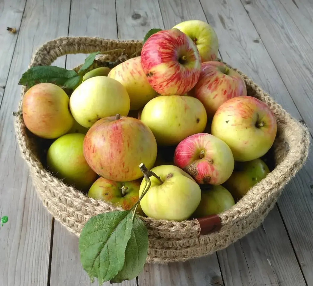 Вязаная миска из джута.