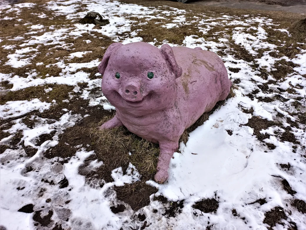 О4.04.2022 г. Могилев, микрорайон «Юбилейный». «Здравствуйте! Меня можно даже погладить!».