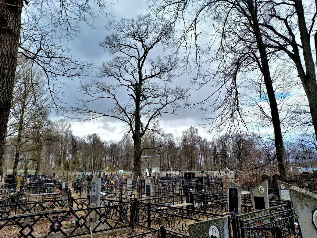 О4.04.2022 г. Могилев, микрорайон «Юбилейный». Еврейское кладбище.
