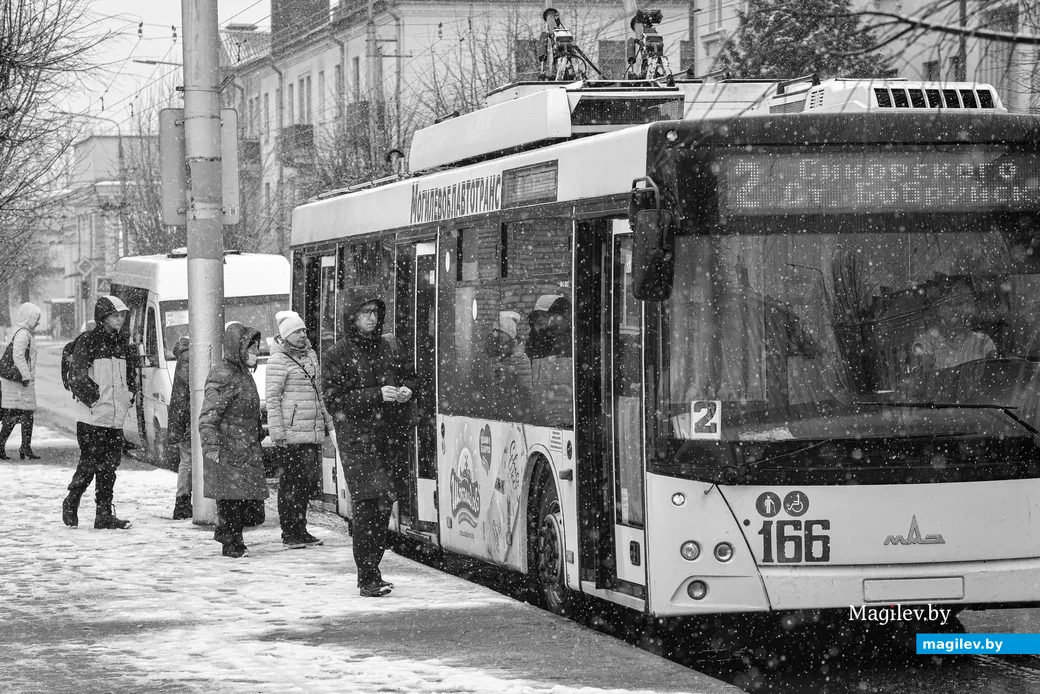 06.04.2022. Бобруйск. Снегопад 6 апреля 2022 года