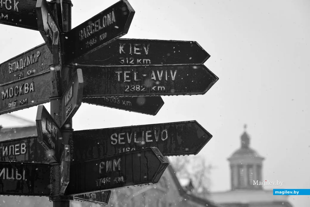 06.04.2022. Бобруйск. Снегопад 6 апреля 2022 года