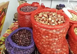 Где в Могилеве купить лук-севок и семенную картошку. Изучали вопрос