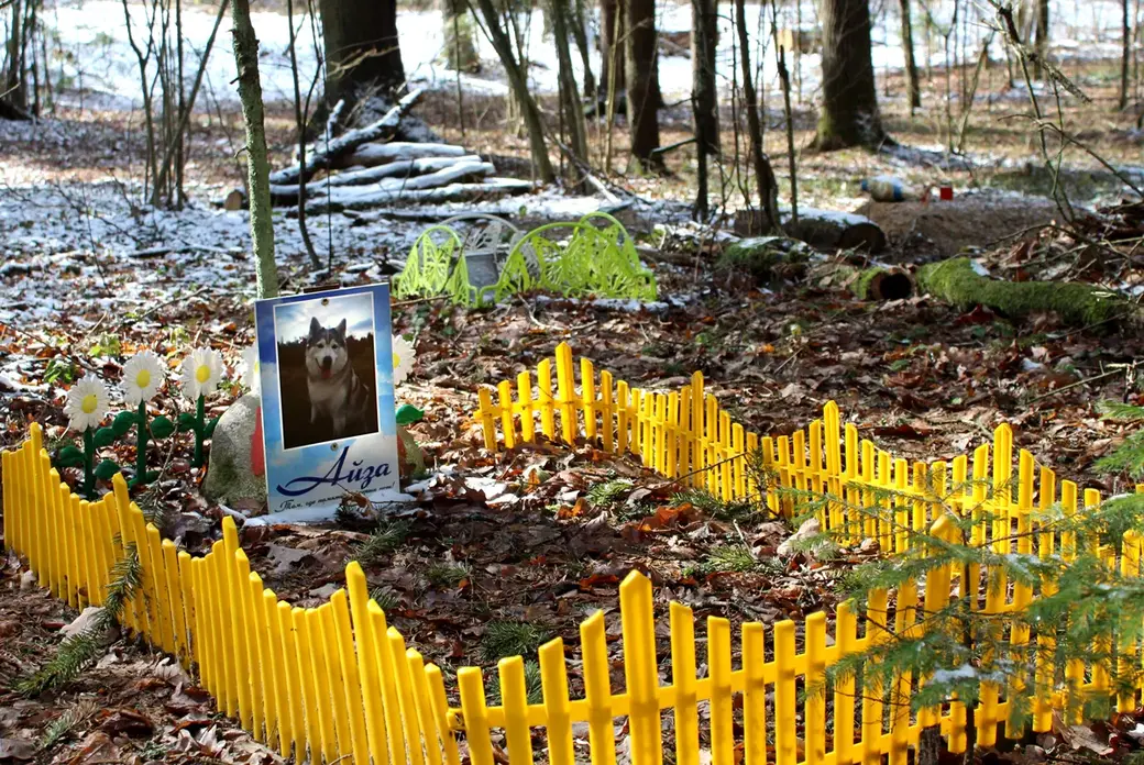 Апрель 2022 год. Могилев. Любуж. Несанкционированное кладбище для животных.