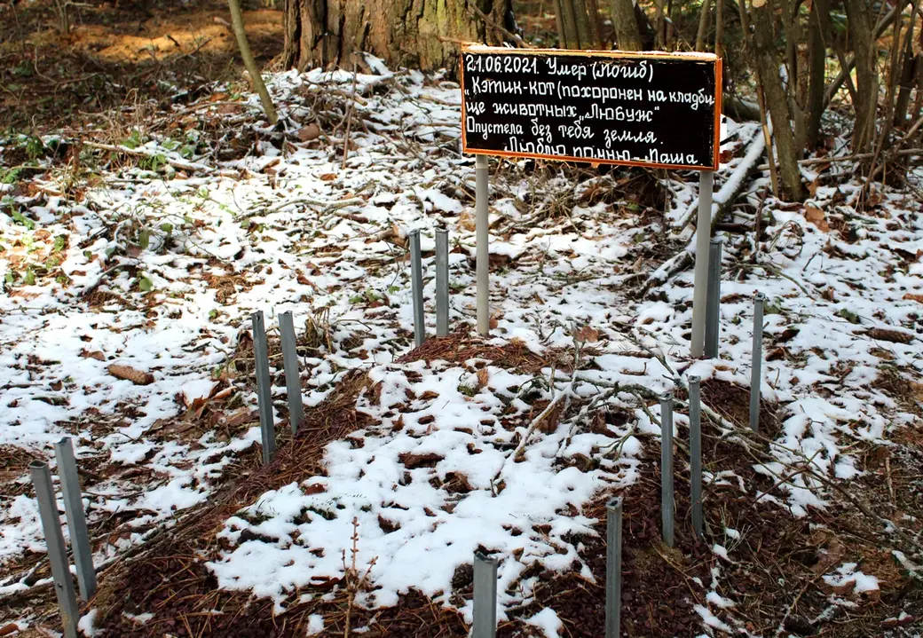 Апрель 2022 год. Могилев. Любуж. Несанкционированное кладбище для животных.