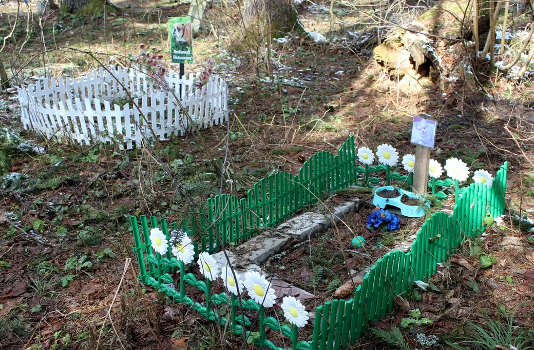 Апрель 2022 год. Могилев. Любуж. Несанкционированное кладбище для животных.