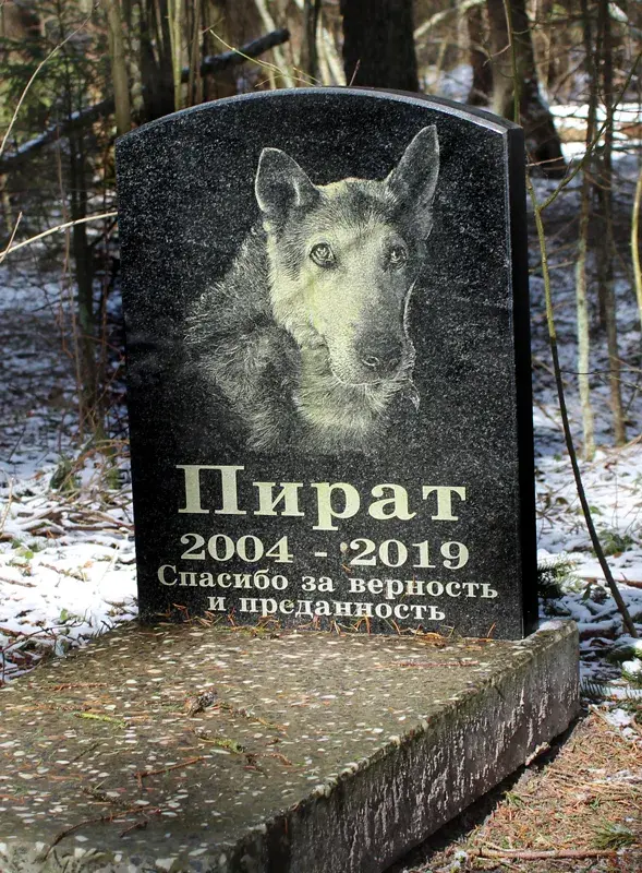 Апрель 2022 год. Могилев. Любуж. Несанкционированное кладбище для животных.