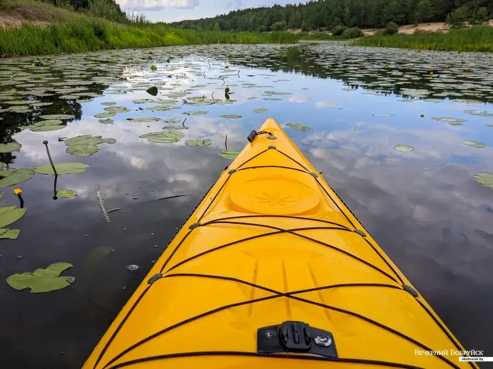 Березинская старица Белый Берег.