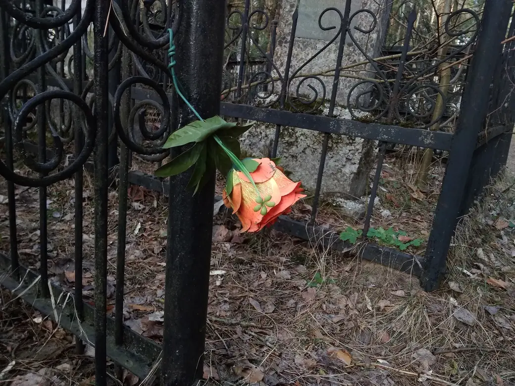 Фото предоставлено Сергеем Борбутом.